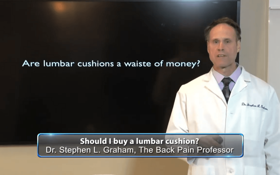 Lumbar cushions / supports