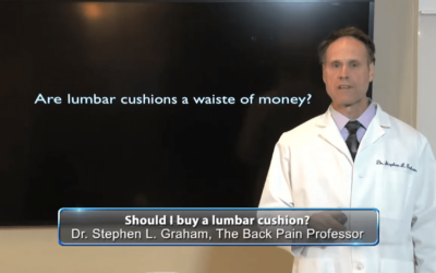 Lumbar cushions / supports