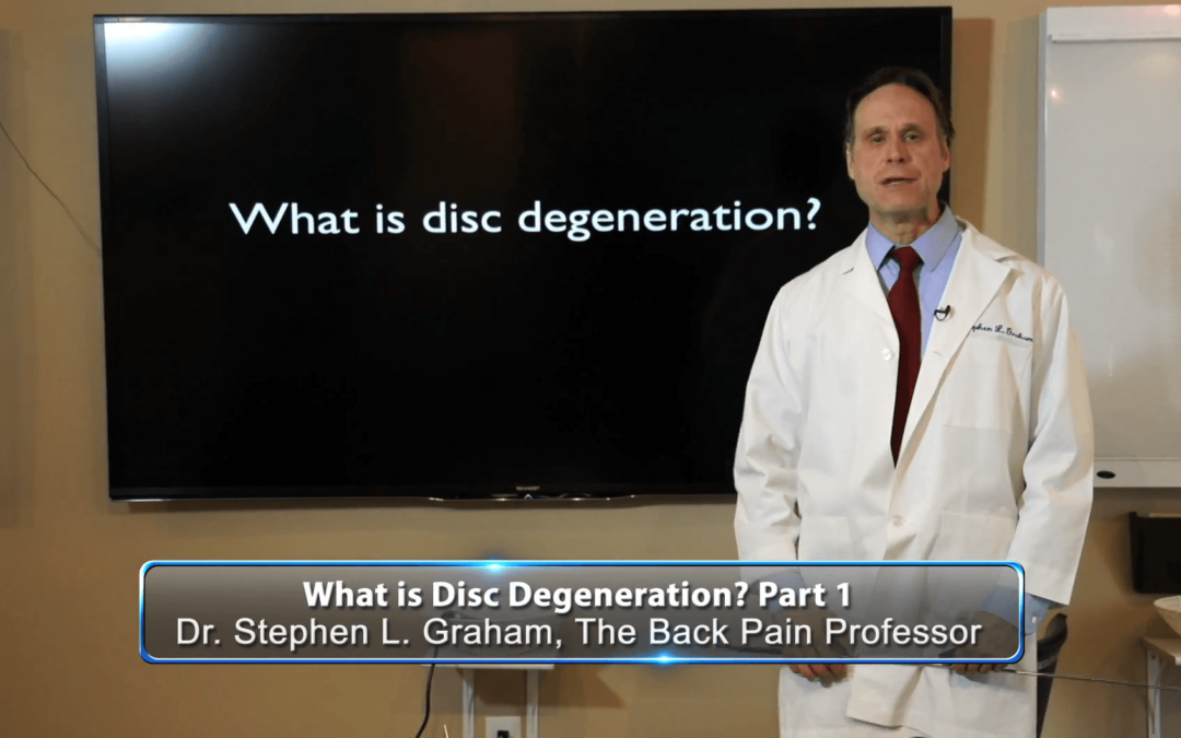 Disc Degeneration – Anatomy