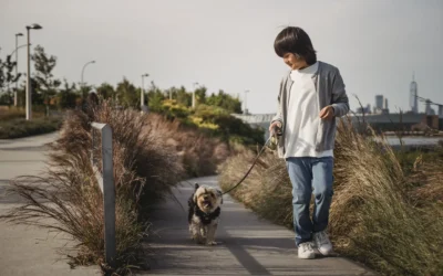 A Half Hour Leisurely Walk Sure Can Solve a Lot of Problems!